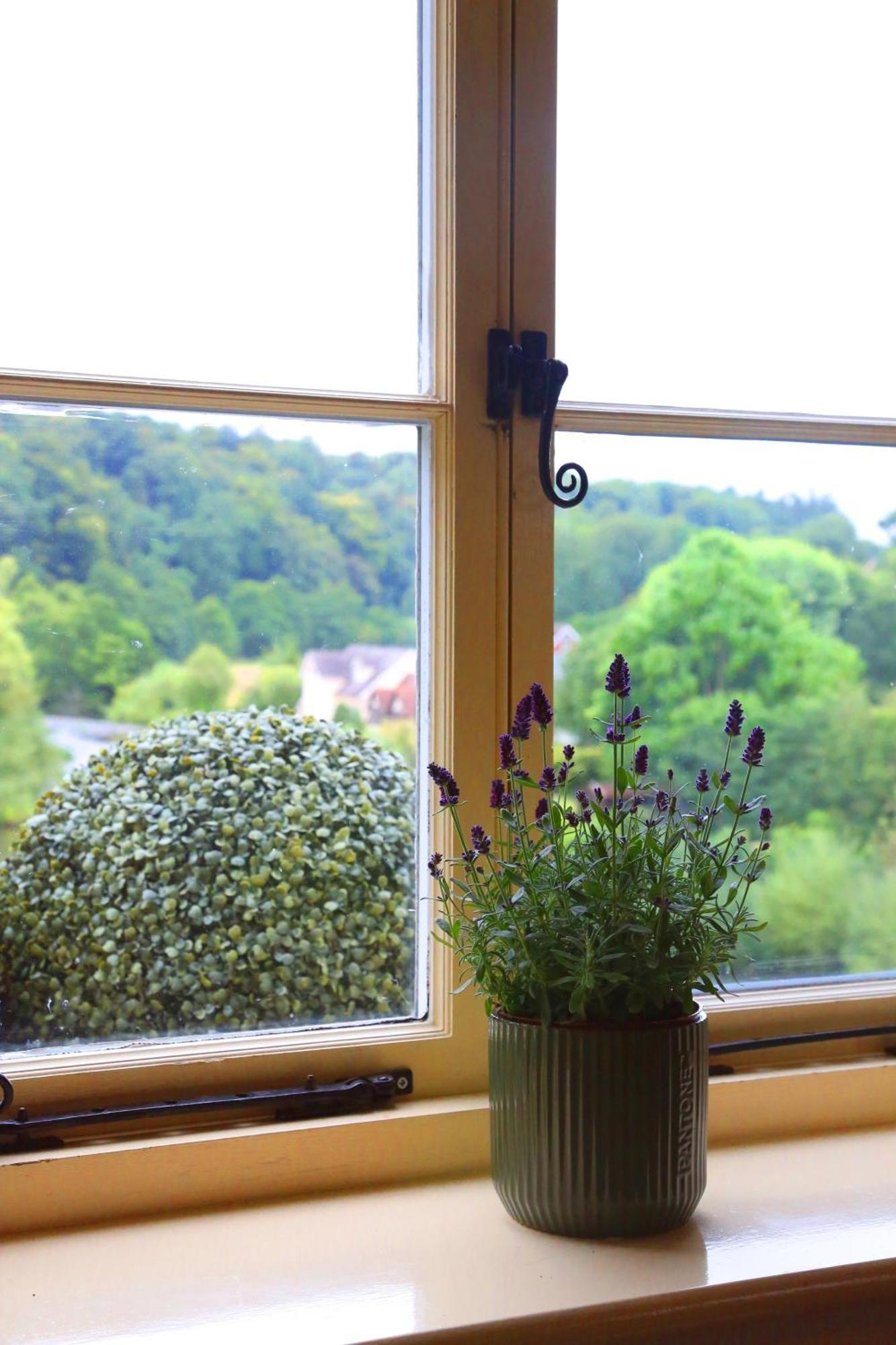 The Charlton Arms Bed & Breakfast Ludlow Exterior photo